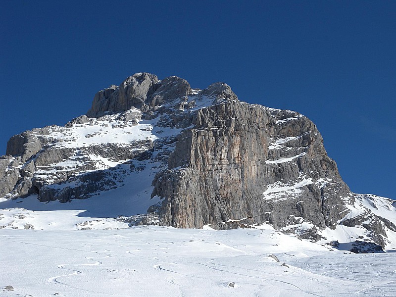 #1 Pointe percée : Le seigneur des lieux ... bien sec ! Pointe percée : Le seigneur des lieux ... bien sec !