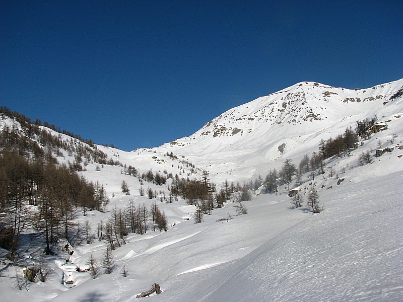#7 face Sud de la Bonette : bien dégarnie pour un mois de février.... face Sud de la Bonette : bien dégarnie pour un mois de février....