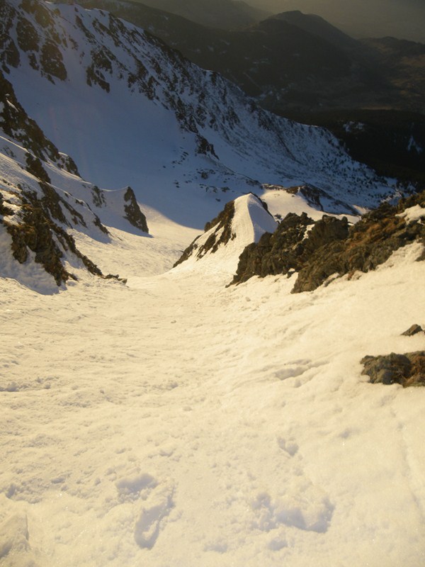 #7 photo9 : branche de gauche au soleil, pas si pire photo9 : branche de gauche au soleil, pas si pire