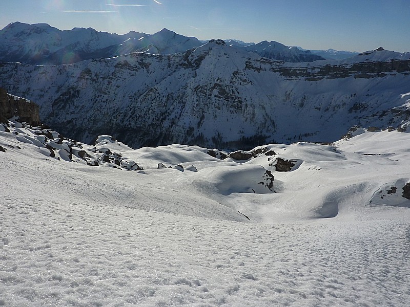 #5 vers le sud : poils longs... vers le sud : poils longs...