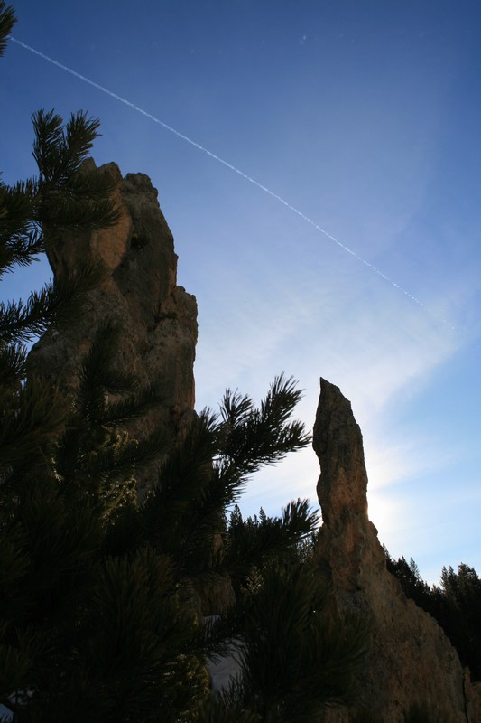 #2 Dans le ravin de Joue Noire : travaux d Dans le ravin de Joue Noire : travaux d'aiguille.