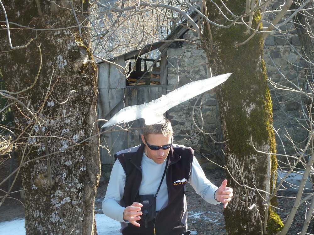 #15 Bouquetin : on a trouvé des cornes de bouquetin mais comme c Bouquetin : on a trouvé des cornes de bouquetin mais comme c'est dans le parc des Ecrins et que c'est interdit de les ramasser, on les a laissé aux Fermons !!!!