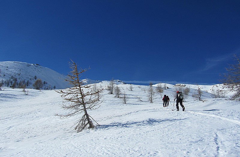 #2 Tête de Cristel : Tout en haut le sommet Tête de Cristel : Tout en haut le sommet