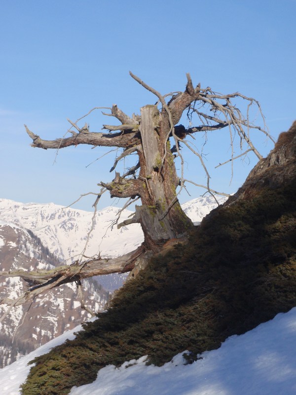 #3 Il a dû être beau Il a dû être beau