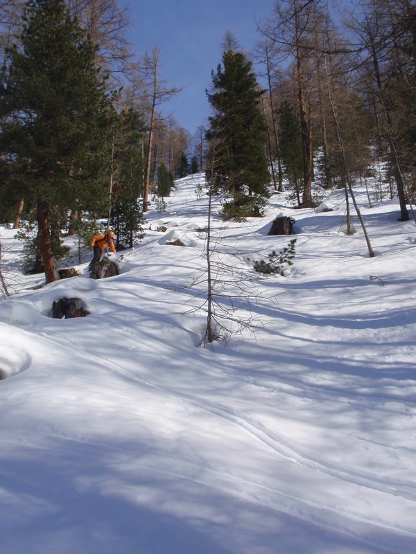 #18 Dans le bois du Rondet : la neige est plus lourde; pour Claude ça paraît facile! Dans le bois du Rondet : la neige est plus lourde; pour Claude ça paraît facile!