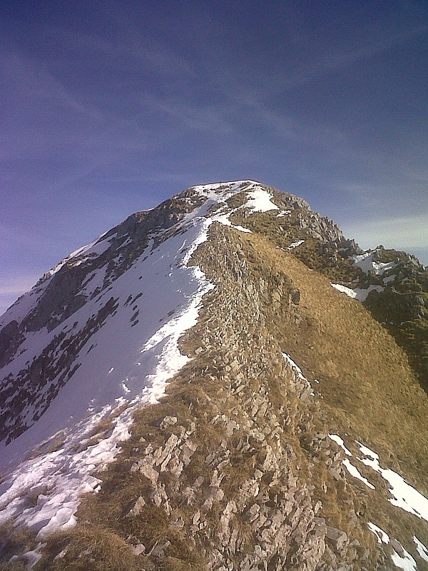 #9 Arête sommitale : Pas de besoin de boussole pour distinguer le sud du nord Arête sommitale : Pas de besoin de boussole pour distinguer le sud du nord