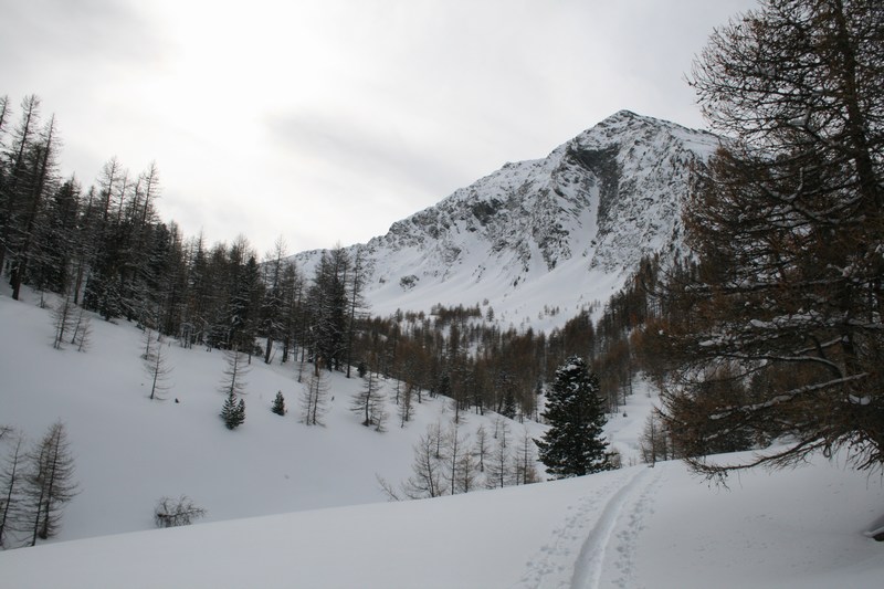 #1 Vallon de Combrette, 2150 m : Je rejoins la trace Vallon de Combrette, 2150 m : Je rejoins la trace