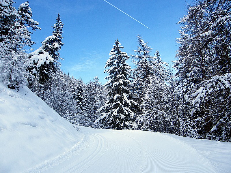 #1 RF Grande Rocade : tracée pour le ski de fond... C RF Grande Rocade : tracée pour le ski de fond... C'est cool, ça glisse, mais surtout soyez respectueux !!!