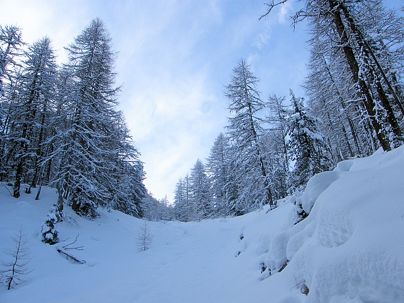 #2 Hier, en montant par le " : peu avant les Sources de l Hier, en montant par le " : peu avant les Sources de l'Abbé... Fait bien froid dans cette combe