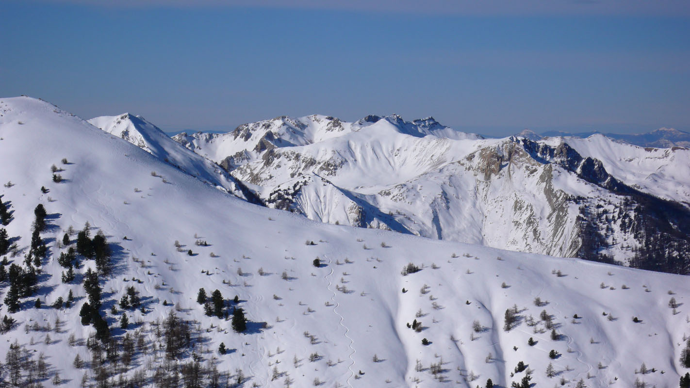 #4 Crête du Lauzet : Un visiteur récent Crête du Lauzet : Un visiteur récent