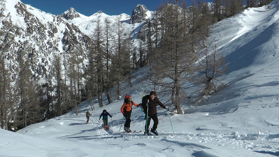 #3 Arrivée à la Mairis, avec un belle trace confortable dans la forêt Arrivée à la Mairis, avec un belle trace confortable dans la forêt
