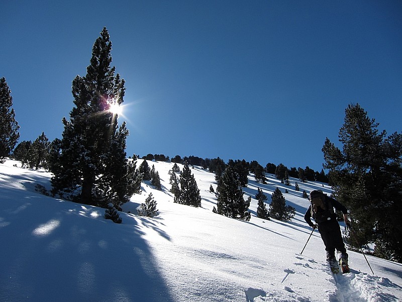 #7 facette NW du Cuneille : belle montée et trace difficile facette NW du Cuneille : belle montée et trace difficile