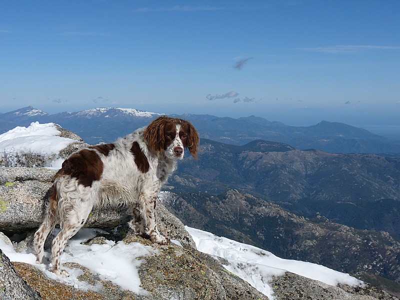 #3 U cane : Il monte et descend plus vite que nous... U cane : Il monte et descend plus vite que nous...