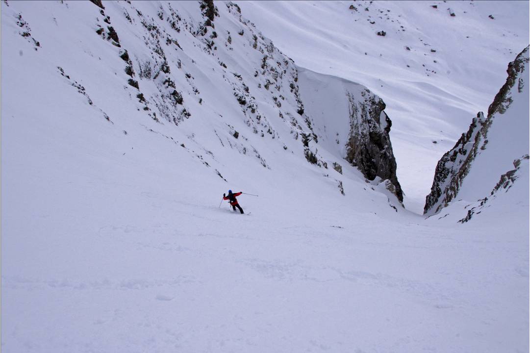 #8 Le Sancy en Arvan... : Le Sancy a migré depuis quelques années en Savoie. Il se fait bien à son nouveau pays! Le Sancy en Arvan... : Le Sancy a migré depuis quelques années en Savoie. Il se fait bien à son nouveau pays!
