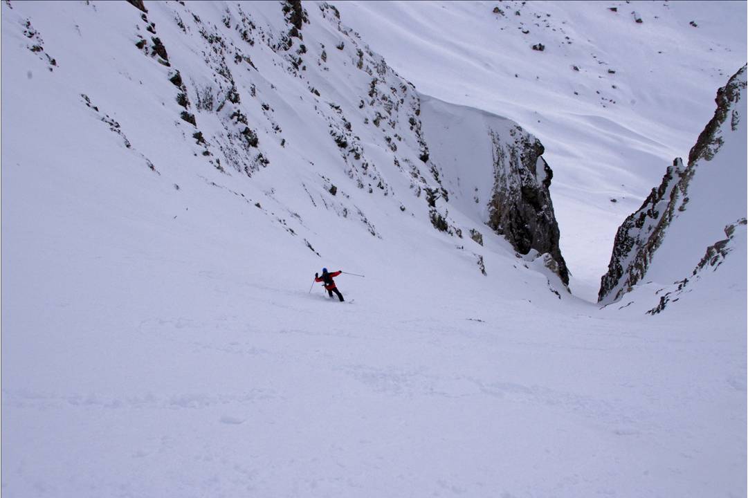 Le Sancy en Arvan... : Le Sancy a migré depuis quelques années en Savoie. Il se fait bien à son nouveau pays!