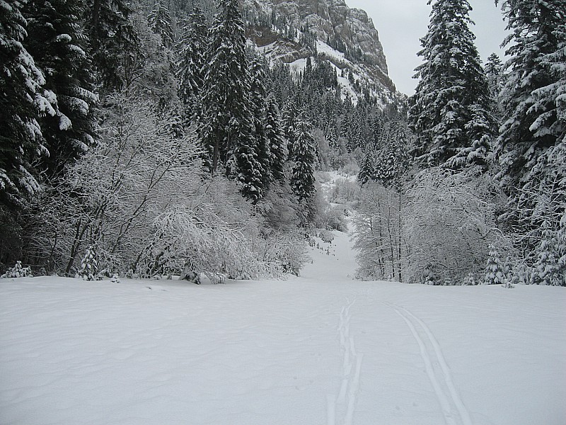 #1 Piste de ski : l Piste de ski : l'enneigement au début de la montée