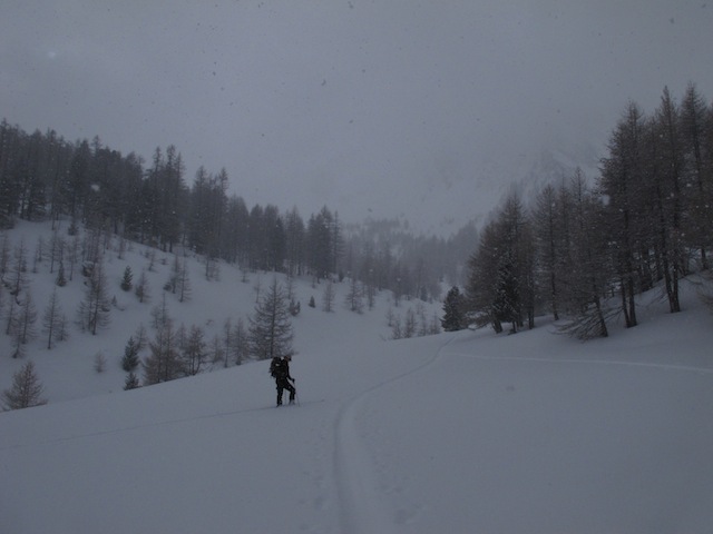 Dimanche - En sortent la forêt.