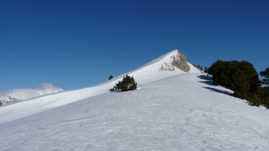 #3 Sortie sur la crête : Un rien pour garnir une photo : un petit peu de neige quelques arbres et des rochers Sortie sur la crête : Un rien pour garnir une photo : un petit peu de neige quelques arbres et des rochers