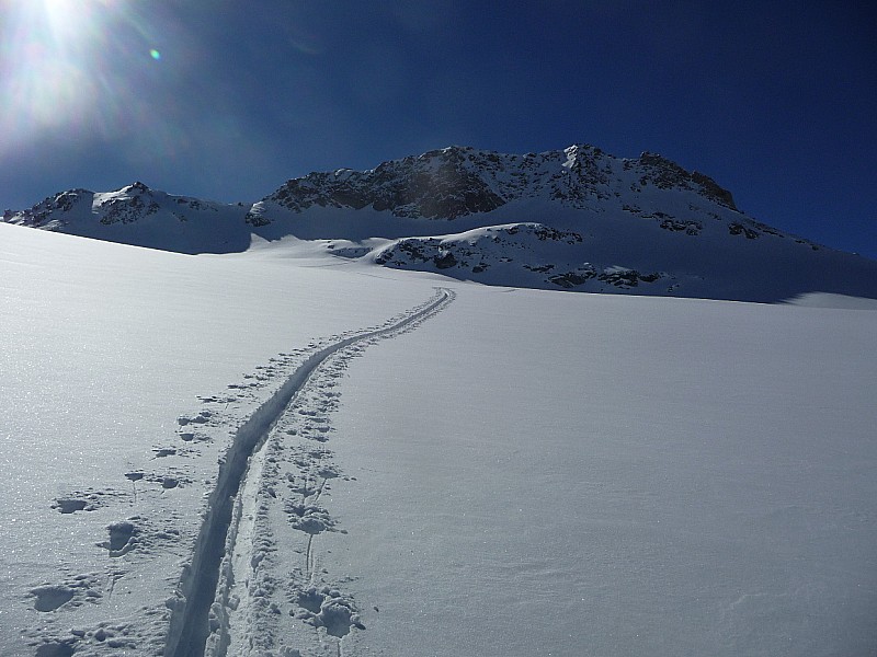 #7 Mont Tout Blanc : Sommet en vue ! Mont Tout Blanc : Sommet en vue !