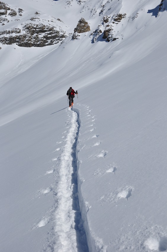 #6 A la trace : Morgan prend son relais, chacun son tour pour brasser la crème fraîche A la trace : Morgan prend son relais, chacun son tour pour brasser la crème fraîche