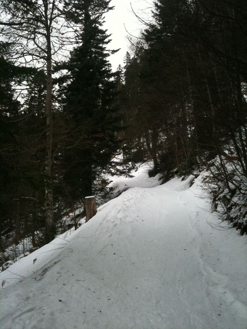 #1 Sur le chemin forestier : C Sur le chemin forestier : C'est blanc mais ya pas épais