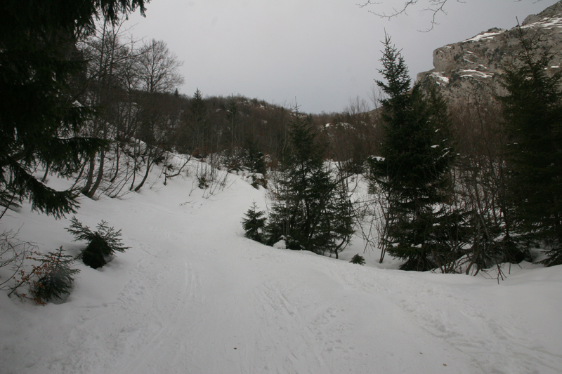 #1 la montée dans la forêt la montée dans la forêt