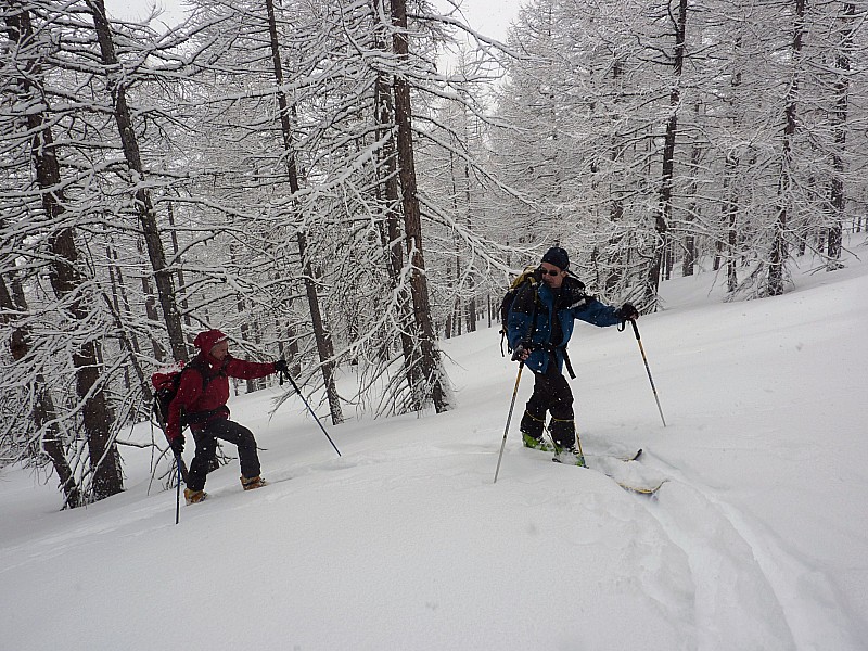 #6 sortie des mélèzes : Il neige un peu moins sortie des mélèzes : Il neige un peu moins