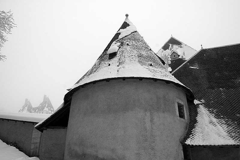 #5 Roches Rousses : Austère monastère : le monde du silence 2 Roches Rousses : Austère monastère : le monde du silence 2