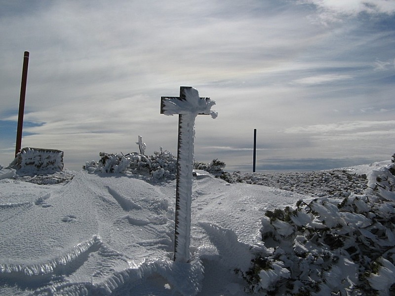 #7 Ventoux : Sous le sommet Ventoux : Sous le sommet