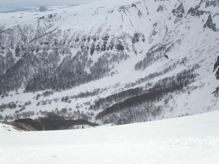 #2 vallée le 20 03 2006 : aprés les avalanches, la forêt de Chaudefour a morflé vallée le 20 03 2006 : aprés les avalanches, la forêt de Chaudefour a morflé