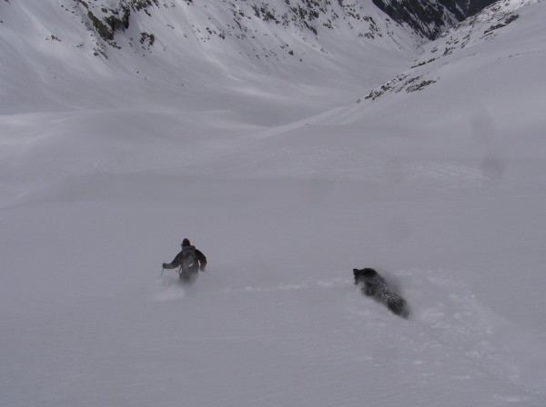 #5 Descente (suite) : Le chien brasse tellement il y a de neige fraîche. Aurel en action Descente (suite) : Le chien brasse tellement il y a de neige fraîche. Aurel en action