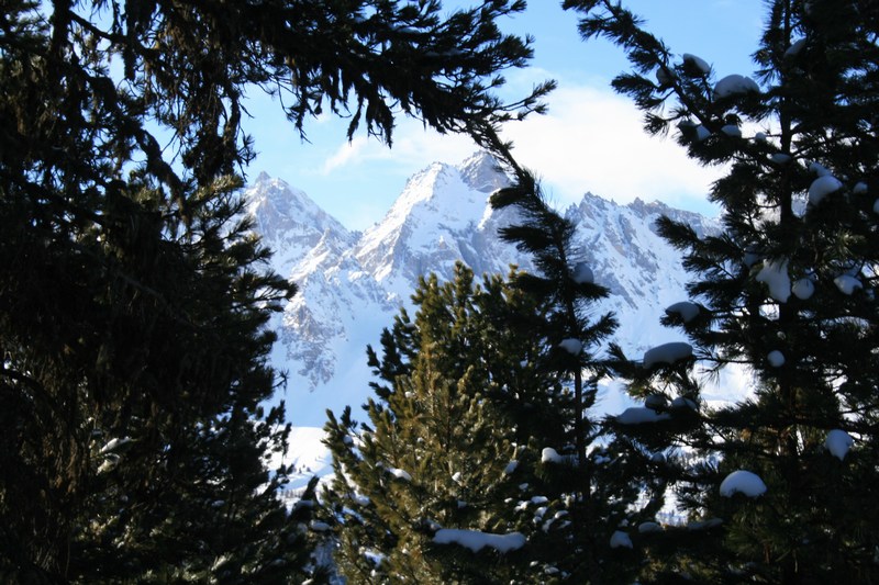 #2 Dans le bois de Jalavez : Pic des Heuvières au centre Dans le bois de Jalavez : Pic des Heuvières au centre