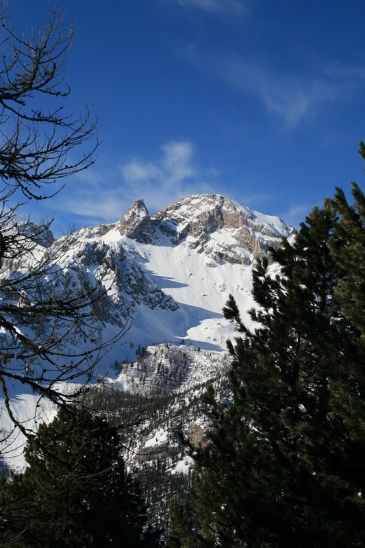 #1 Dans le bois de Jalavez : pointe de Saume Dans le bois de Jalavez : pointe de Saume