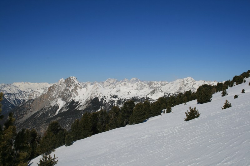 #5 Au sortir du bois : Pic d Au sortir du bois : Pic d'Assan devant et les Ecrins au fond.