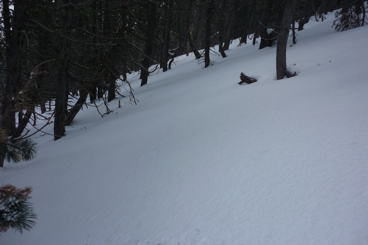 #2 dans la foret : bien à la montée comme à la descente, et même très bien ! dans la foret : bien à la montée comme à la descente, et même très bien !