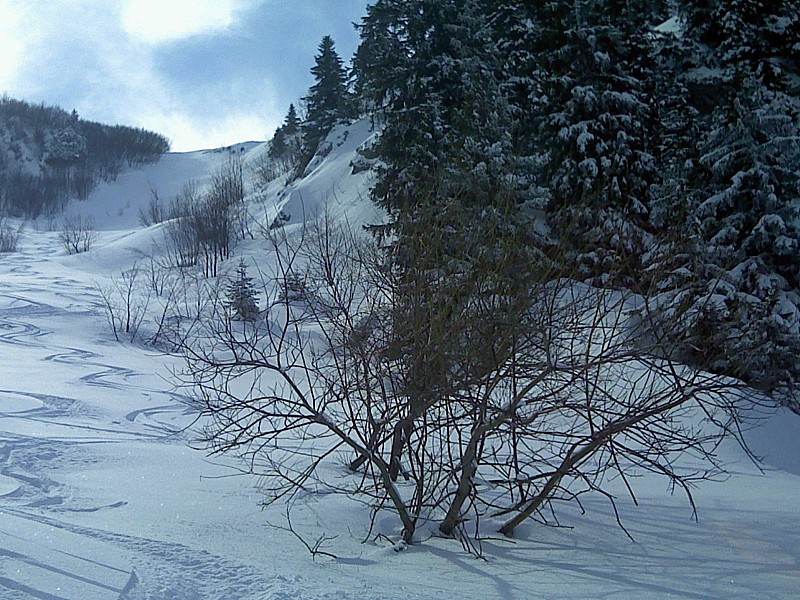 #3 ***** : Très bon ski aujourd ***** : Très bon ski aujourd'hui
