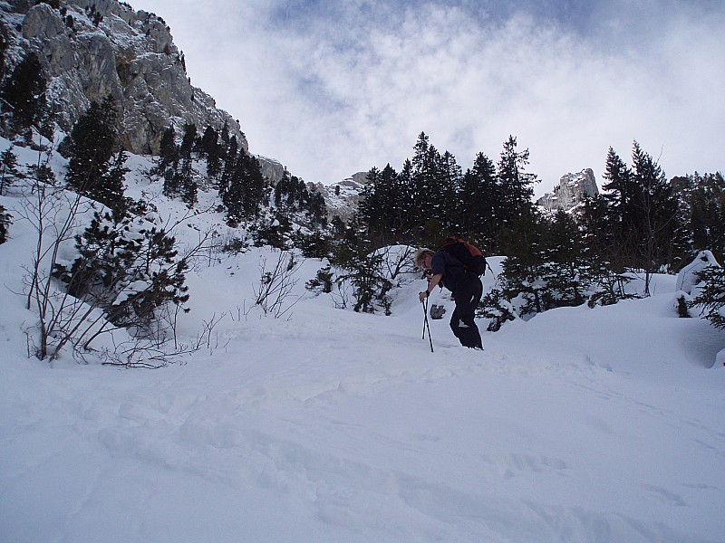 #1 Alke going up Alke going up