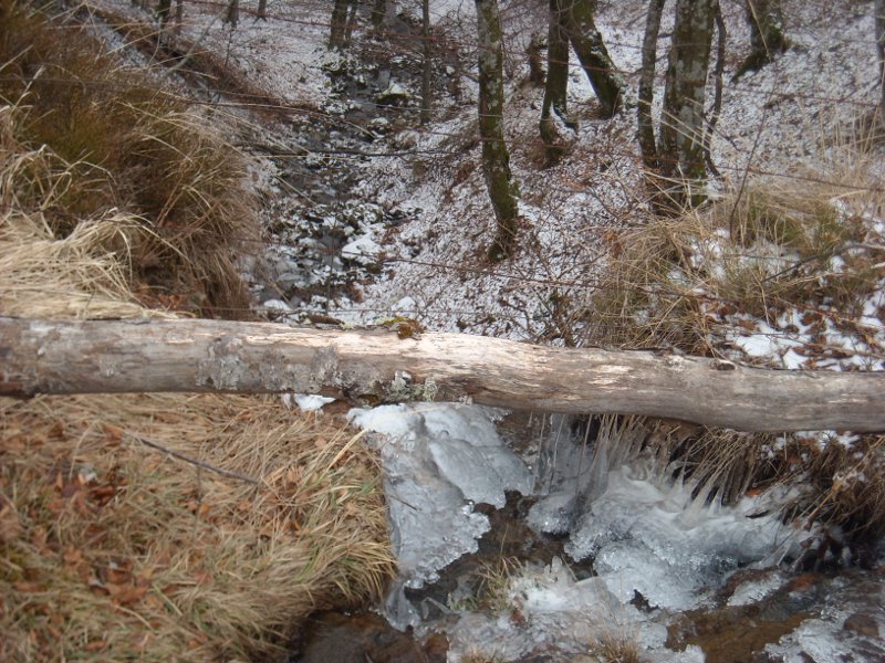 #19 ruisseau gelé : on est bien en hiver, pas de doute!! ruisseau gelé : on est bien en hiver, pas de doute!!