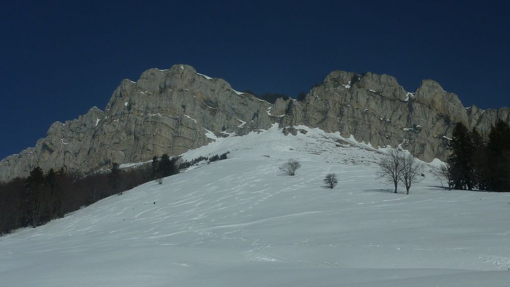 #12 Prairie col de la Ruchere : avec des skis larges, ça passe quand meme vraiment bien ! Prairie col de la Ruchere : avec des skis larges, ça passe quand meme vraiment bien !
