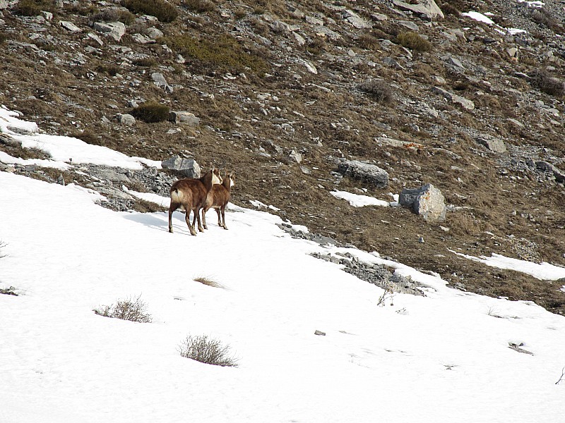 #1 Copains : des copains sous les barres du Démant Copains : des copains sous les barres du Démant