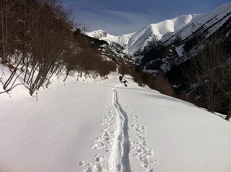 #3 Bonne fraiche : Les chutes de neiges récentes ont fait du bien Bonne fraiche : Les chutes de neiges récentes ont fait du bien