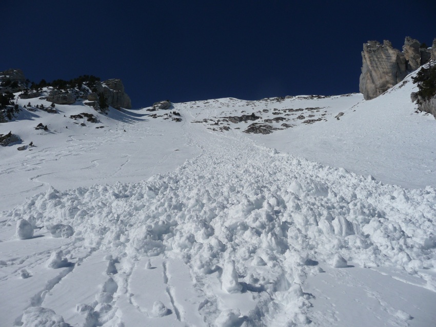 #12 Escargot deviendra gros : est devenu gros Escargot deviendra gros : est devenu gros