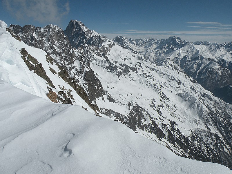 #7 Photo7 : L Photo7 : L'olan toujours majestueux