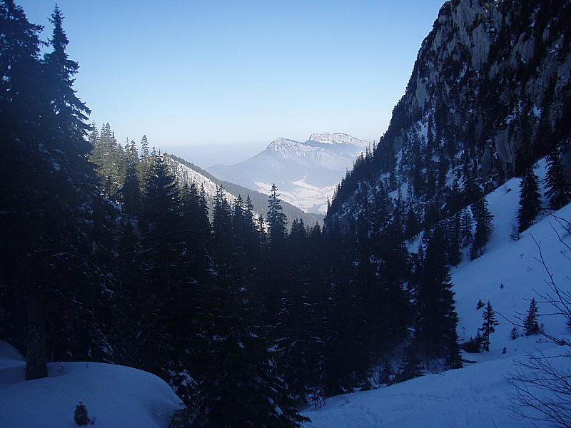 #9 Combe des Eparres : A la sortie de la forêt, vue vers le nord Combe des Eparres : A la sortie de la forêt, vue vers le nord