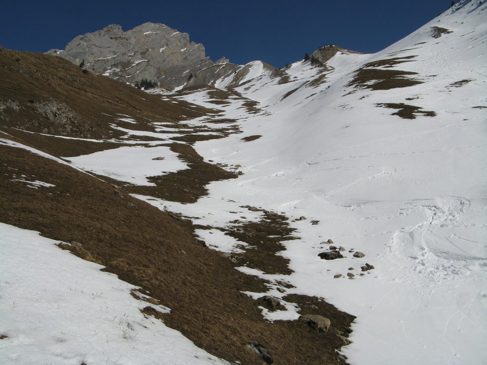 #8 Alpage de Tardevant : Bien sec dans le versant sud Alpage de Tardevant : Bien sec dans le versant sud
