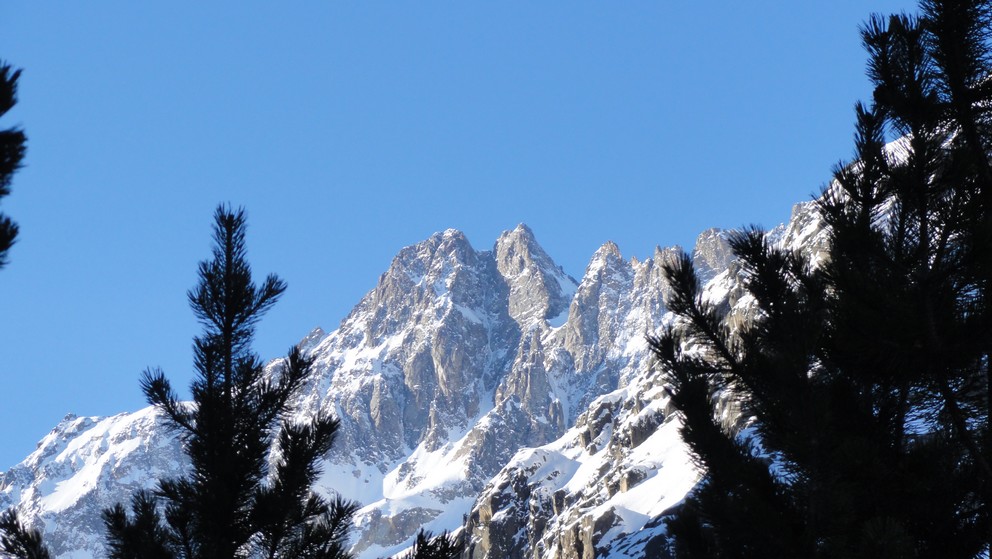 #4 col N de clot chatel : ________ col N de clot chatel : ________
