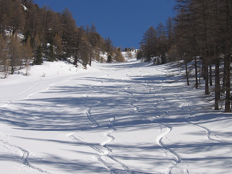 5 traces avec seulement 2 skis.Les plus a droite
sont les plus belles evidemment.