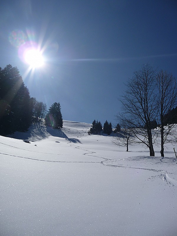 #9 Sous les chalets : encore de la poudre pour finir en beauté ! Sous les chalets : encore de la poudre pour finir en beauté !