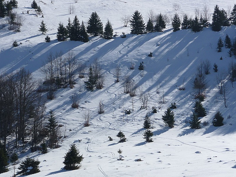 Vers les chalets : Bonne poudre