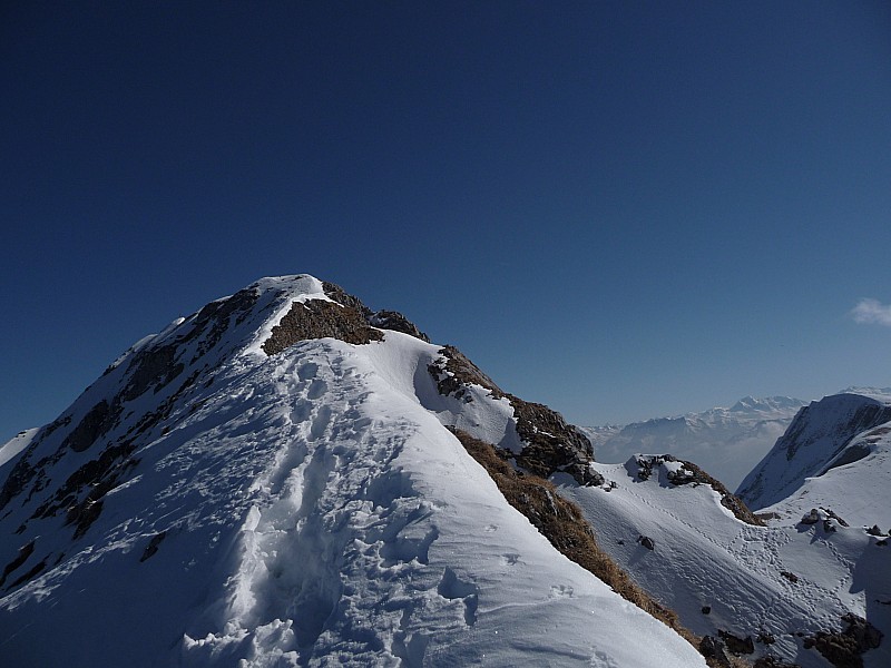 #5 arète : l arète : l'arète sommitale :
à droite le haut du couloir sud ouest bien ensoleilé
à gauche la face nord bien sombre et bien poudreuse!!